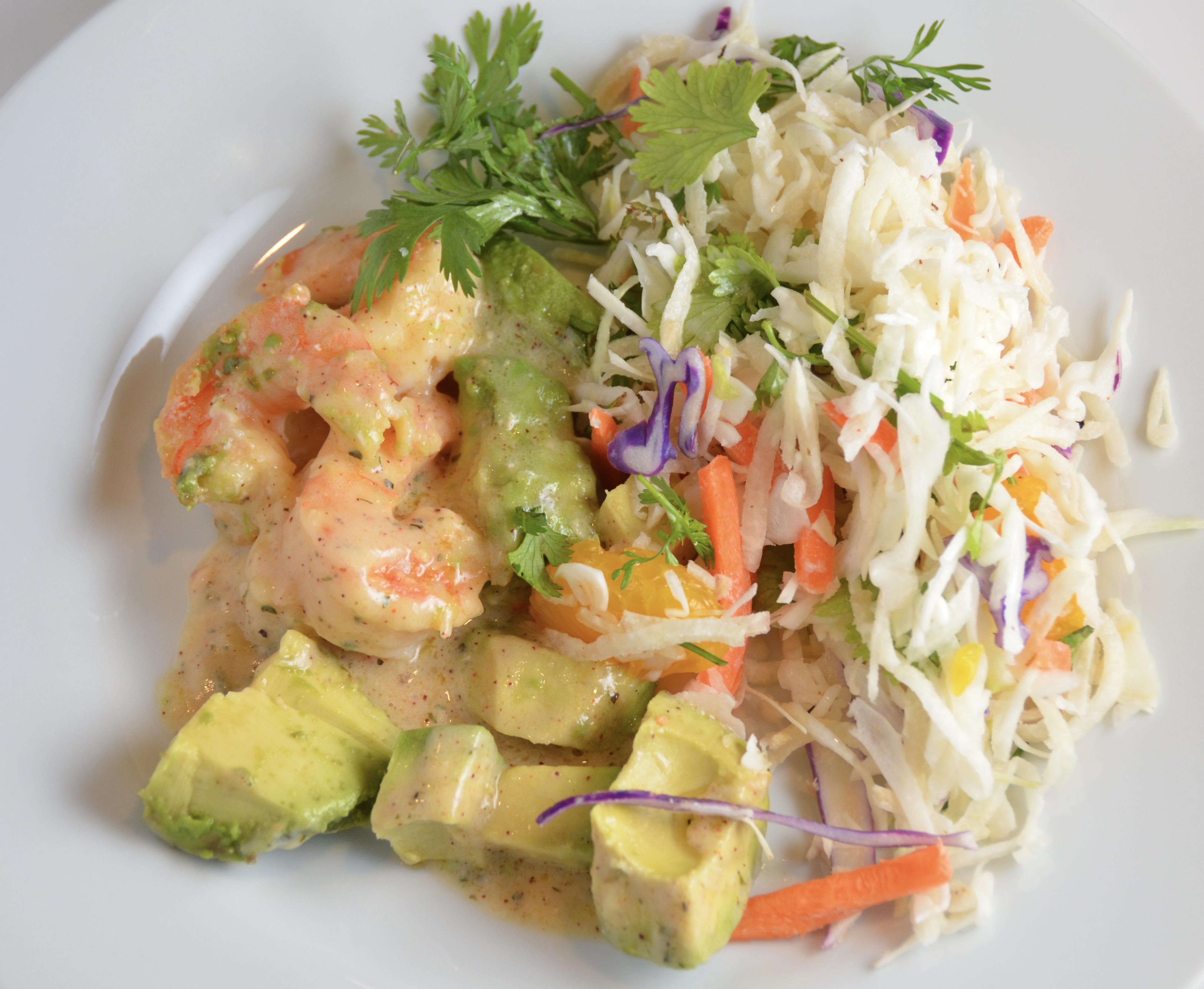 Shrimp With Avocado In Tequila Cream Sauce And Jicama Slaw. New Music