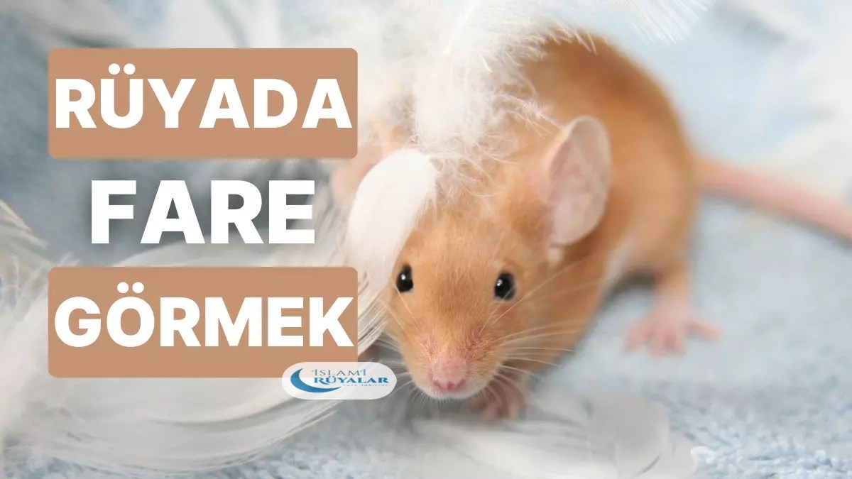 Rüya Tabirleri