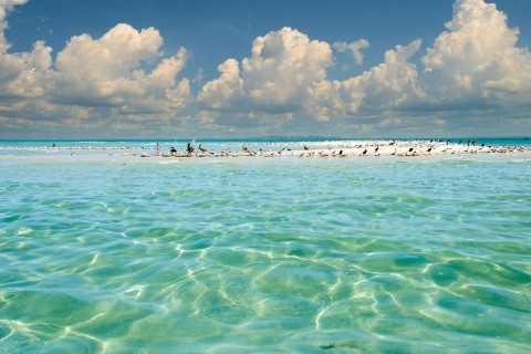 Private Boat Charters Private Boat Tours