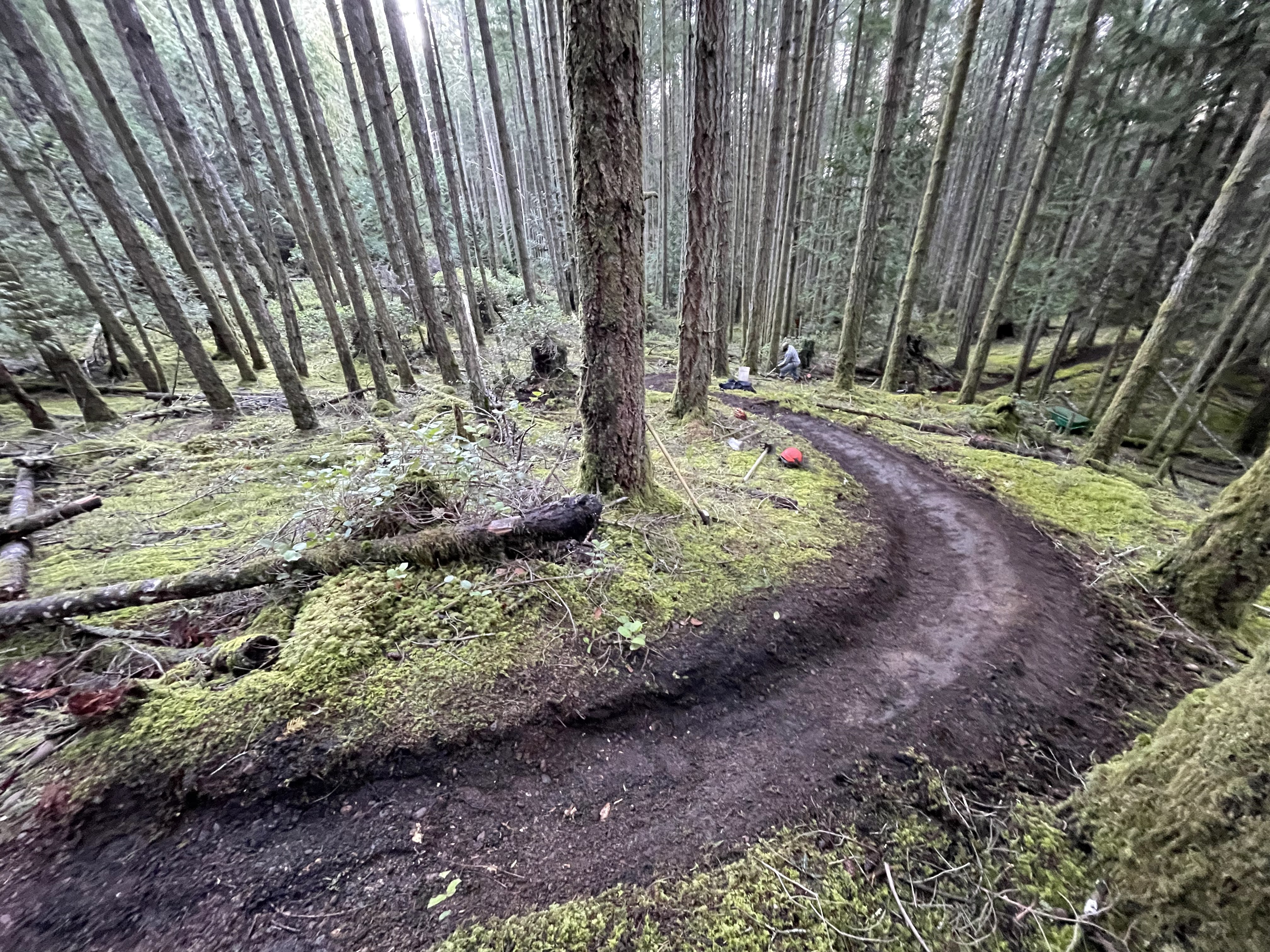 IMG_4955