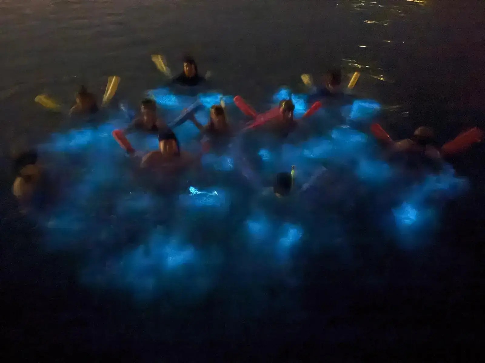 Bio Bay Grand Cayman with Kids