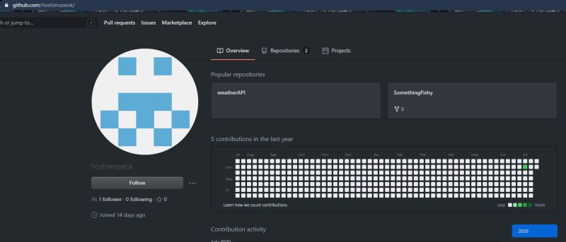 Github Rishitsaiya Asis Ctf Writeups Asis Ctf 2020 - Mountain Picture Collection - HD Quality