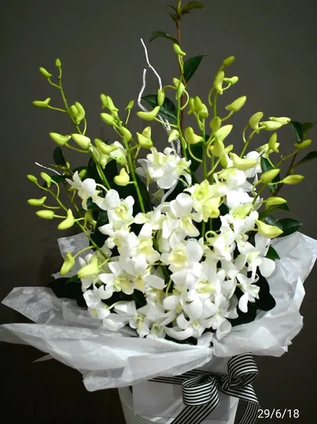Polyvinyl chloride, or pvc, is inexpensive vinyl tubing primarily used for home plumbing. Orchid Box Arrangement