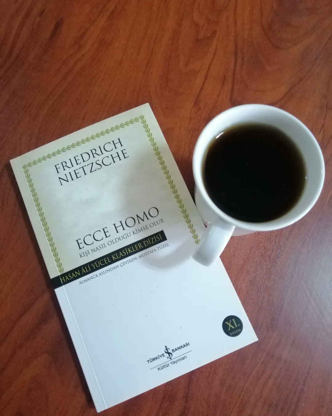 ECCE HOMO Kişi Nasıl Olduğu Kimse Olur, Friedrich Nietzsche