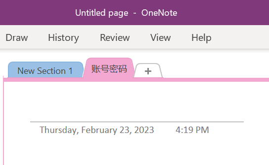 OneNote New Section
