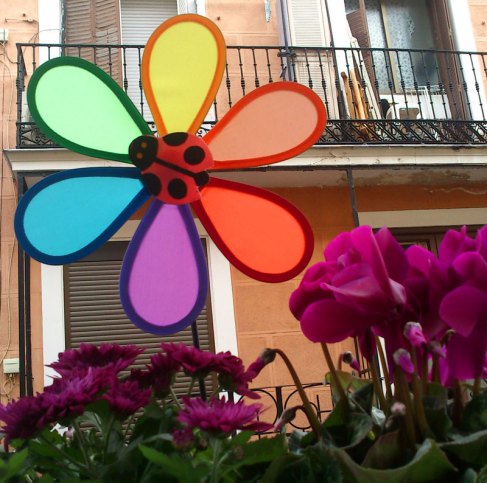 Fiorearcobalenobalcon
