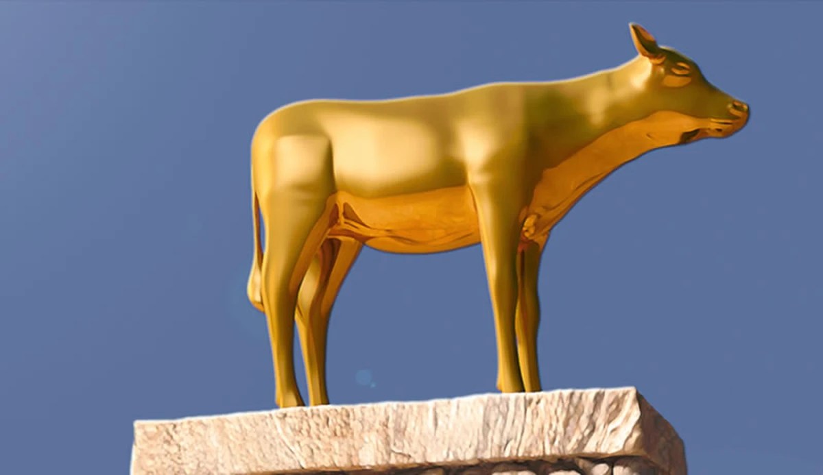golden calf image