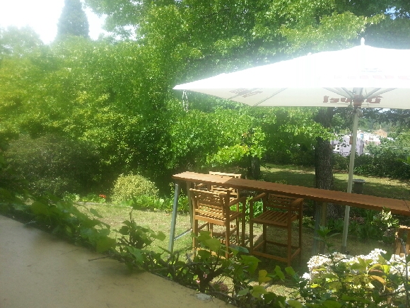 View from our table