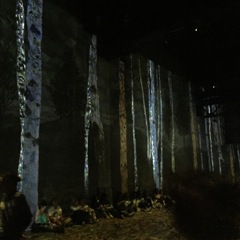 Gustav Klimt à l'atelier des lumières