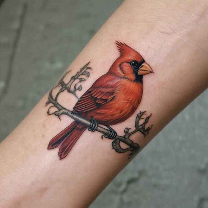 Cardinal Holding a Tiny Scroll or Message tattoo