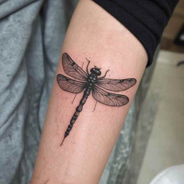 Horizontal Dragonfly on the Forearm tattoo