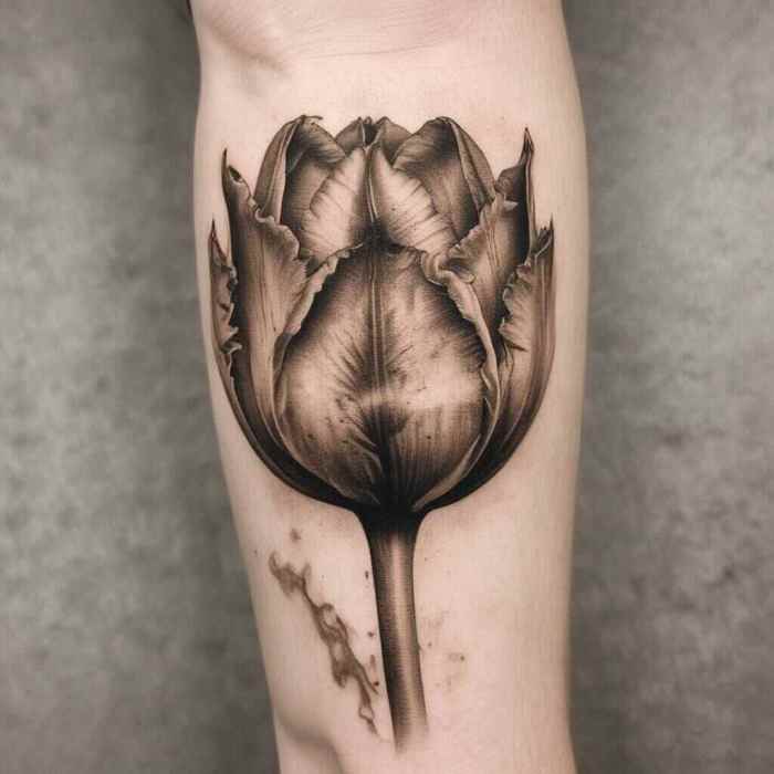Sepia Toned Tulip on Parchment Style Background tattoo