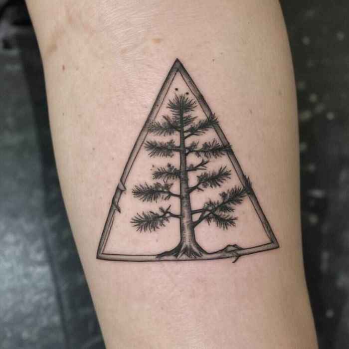 44 Serene Pine Tree Tattoo Ideas To Embrace Nature’s Quiet Strength! 12 Pine Tree within a Triangle Frame tattoo