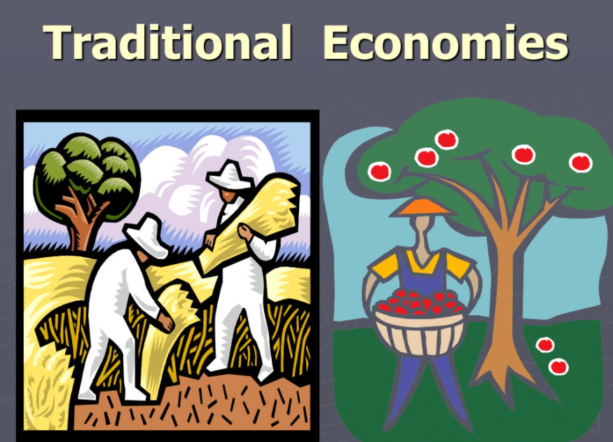 What is a traditional economy?