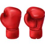 TOP 10 BOXING MATCH UPS FOR THE NEXT 12 MONTHS