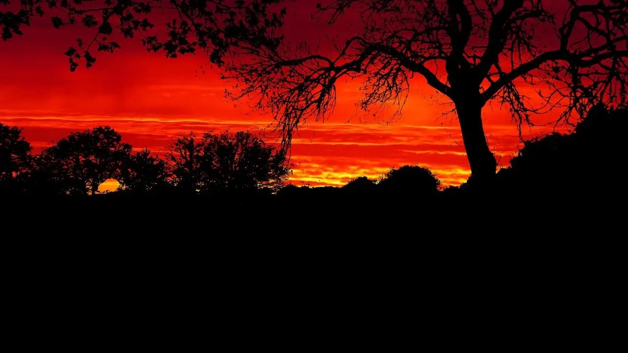 From SteelBrick to Sunset: A Salesforce CPQ History, 2014 to 2025