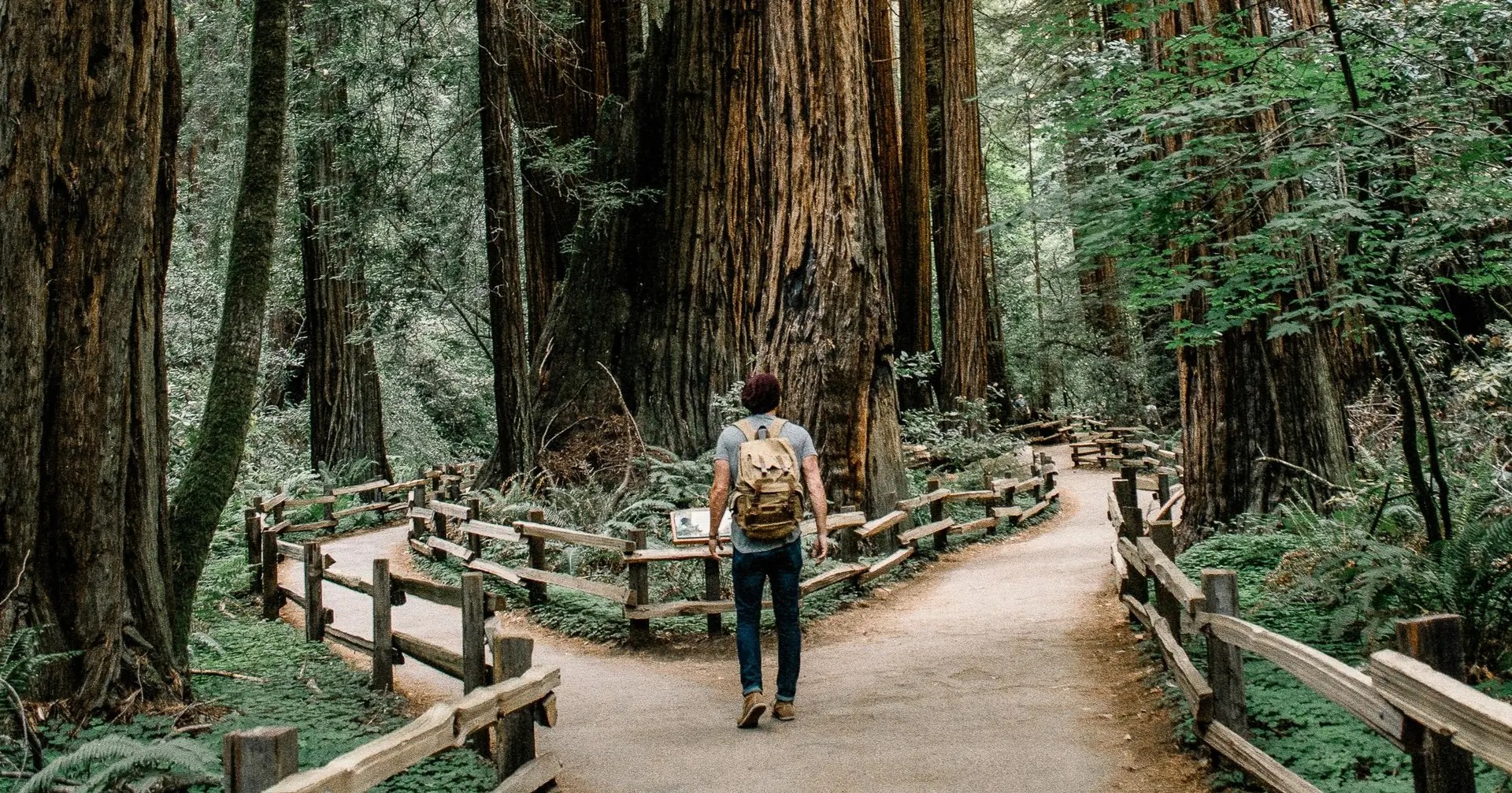 Salesforce CPQ vs Revenue Cloud: Comparisons in 2025