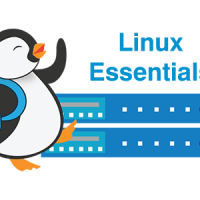 The answer key explains each answer. Linux Essentials Chapter 07 Exam Answers 2019 Pdf File