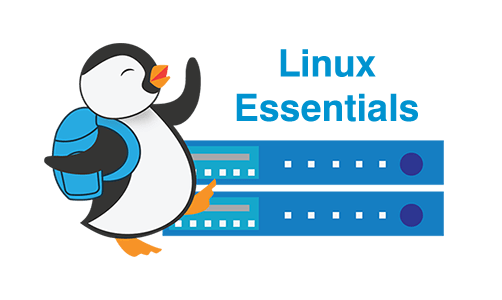 Linux home linux essentials midterm exam (modules ccna exam answers 2021 ccna. Linux Essentials Chapter 01 Exam Answers 2019 Pdf File