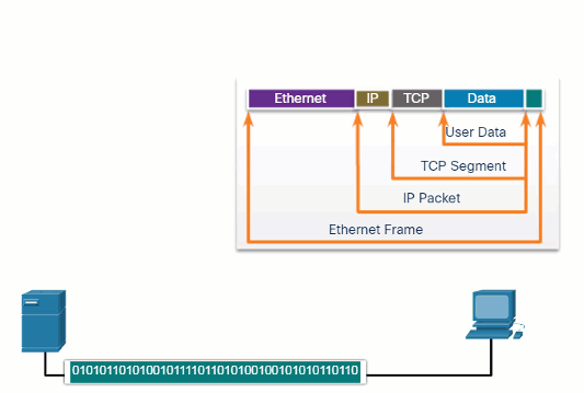 Ccna Study Encapsulation And De Encapsulation - Premium Light Wallpaper Gallery - 8K
