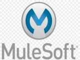 Mcd Mulesoft Certified Developer Level 1 Mule 4 Tests It Exam
