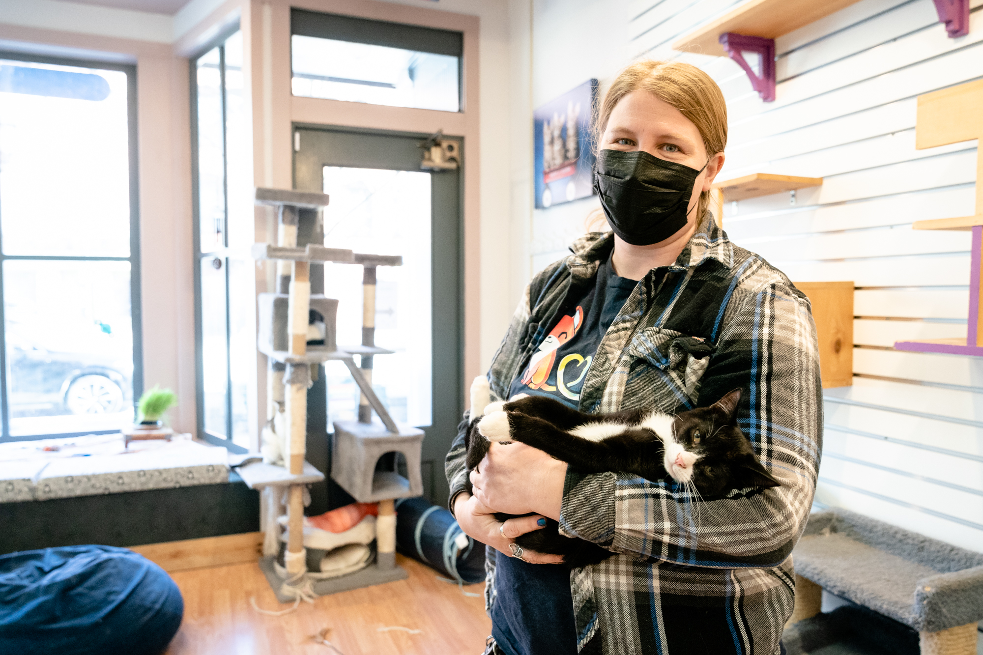 Alley Cat Cafe moves its cool cats and kittens to new downtown location
