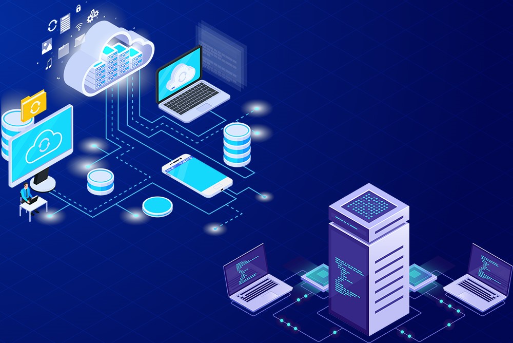 Cloud erp sau On-premise erp