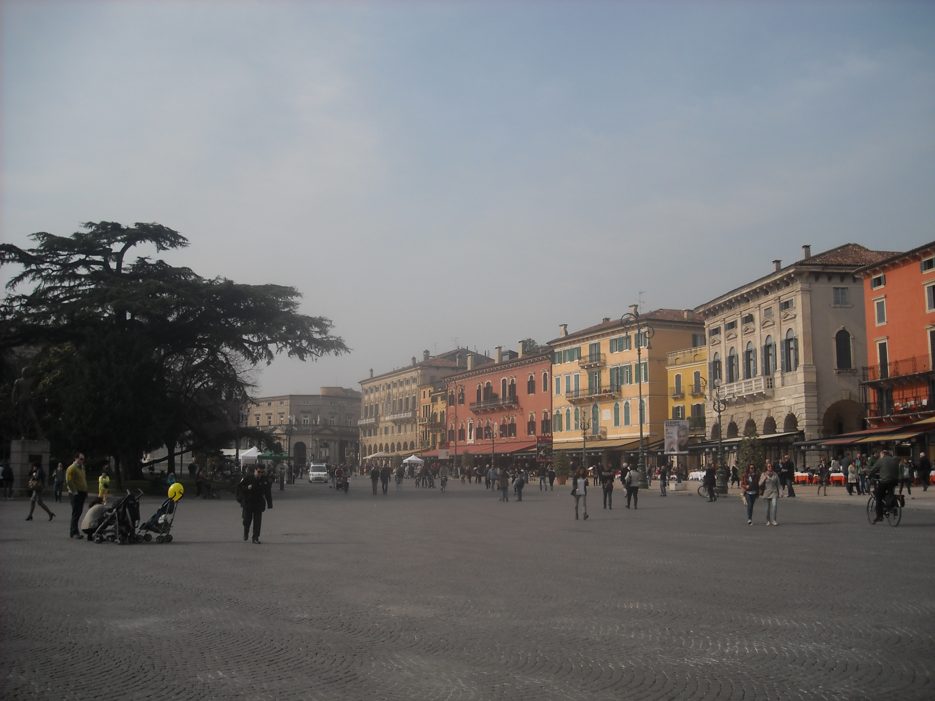 DSCN1877