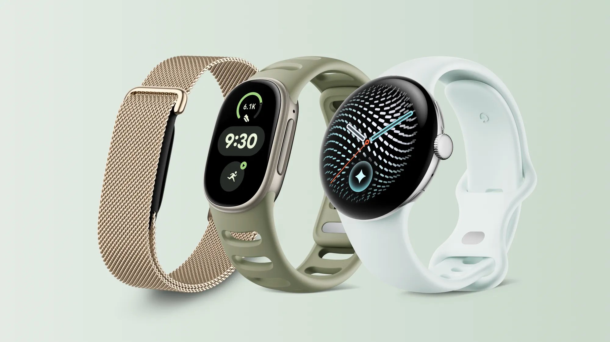 Google Fitbit Edge