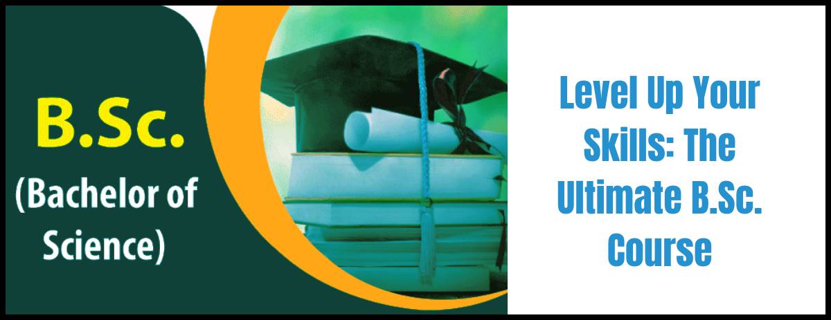Level Up Your Skills: The Ultimate B.Sc. Course