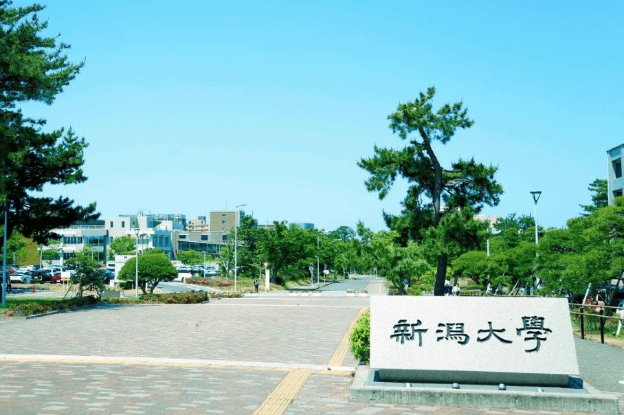 新潟大学人文学部に着任しました～「足し算の批判」に根ざした地域社会学に向けて