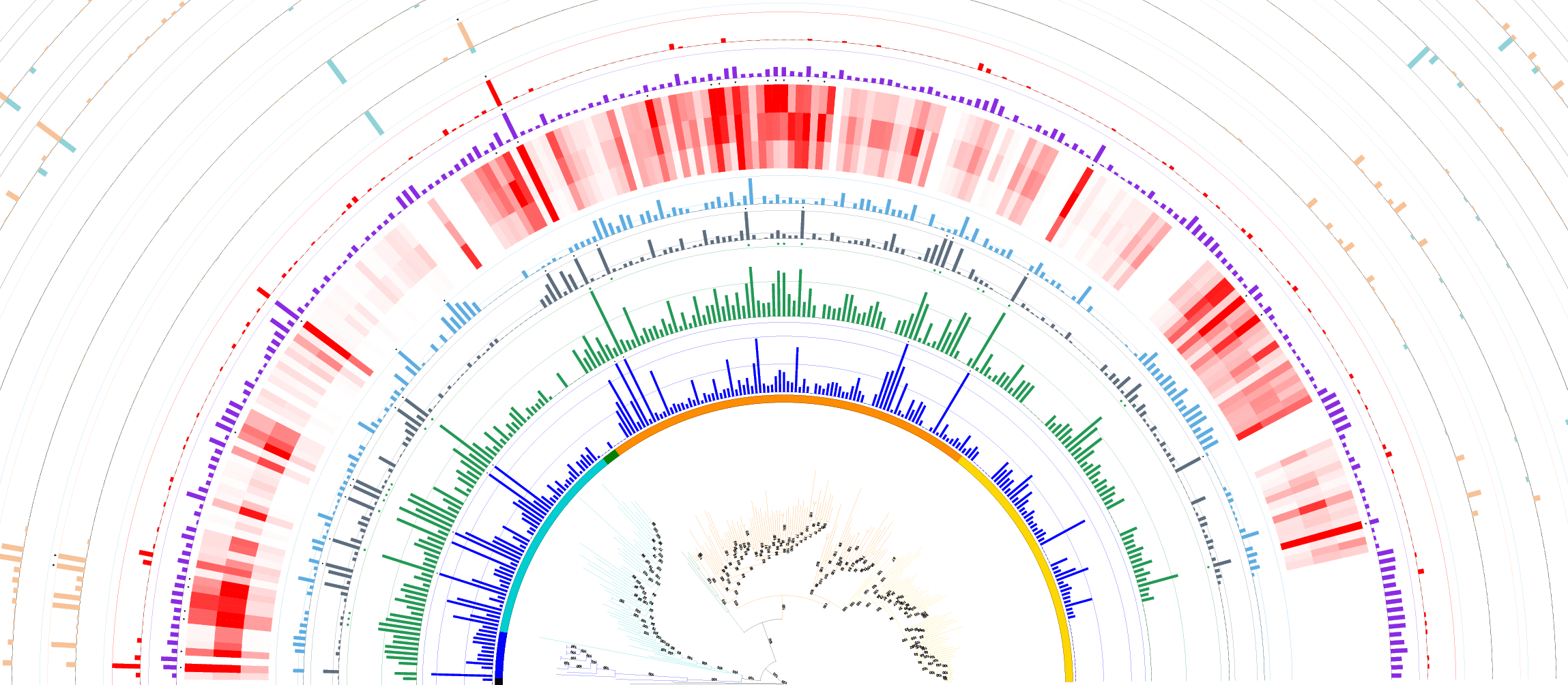 Solved Examine The Phylogenetic Tree Of Life In Figure In Wha Chegg Com