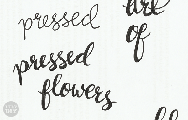 How-To-Digitize-Your-Calligraphy-Design-Work-001 How To Digitize Your Design Work