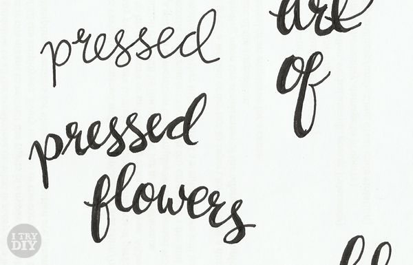 How-To-Digitize-Your-Calligraphy-Design-Work-001 How To Digitize Your Design Work