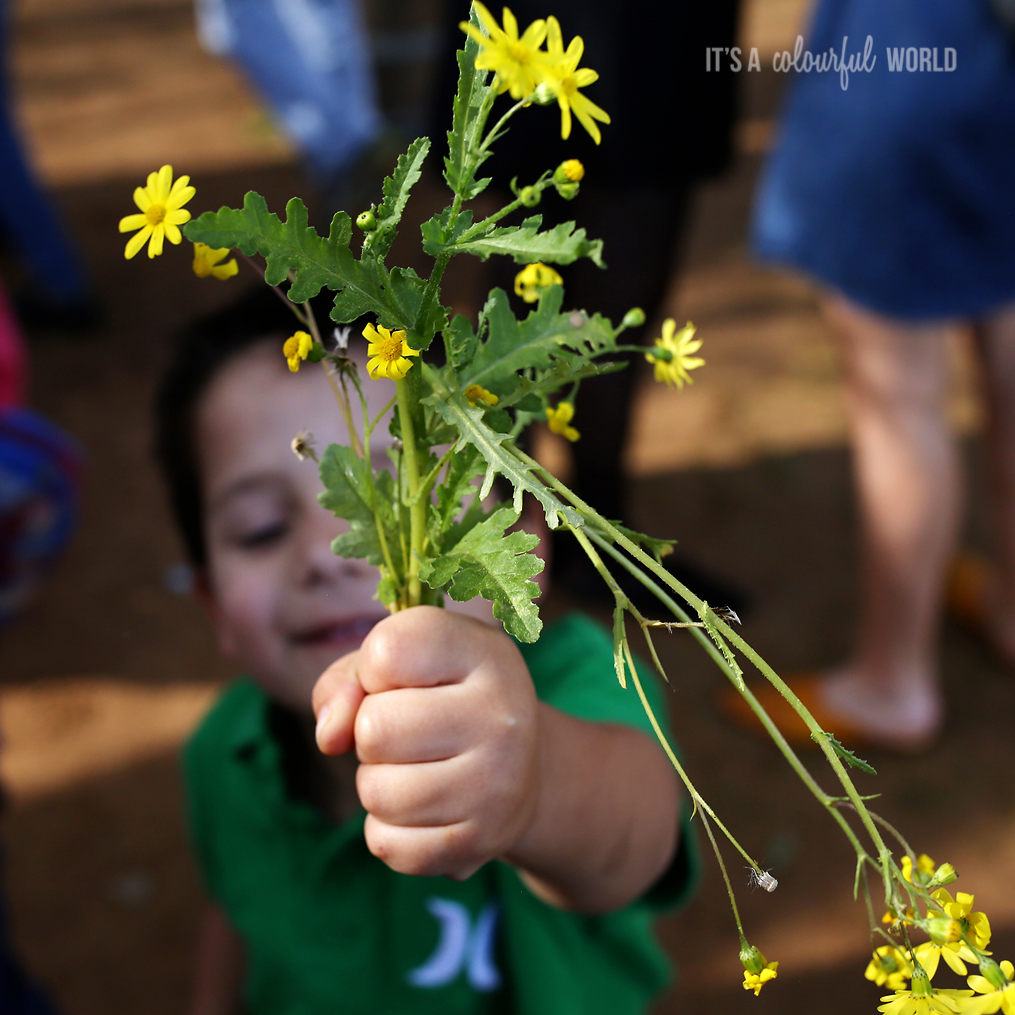 IACWLOVE_flowers