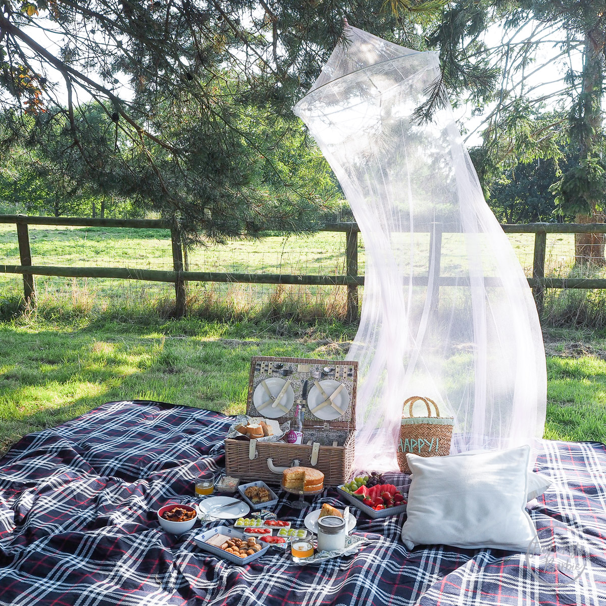 Summer-picnic-2