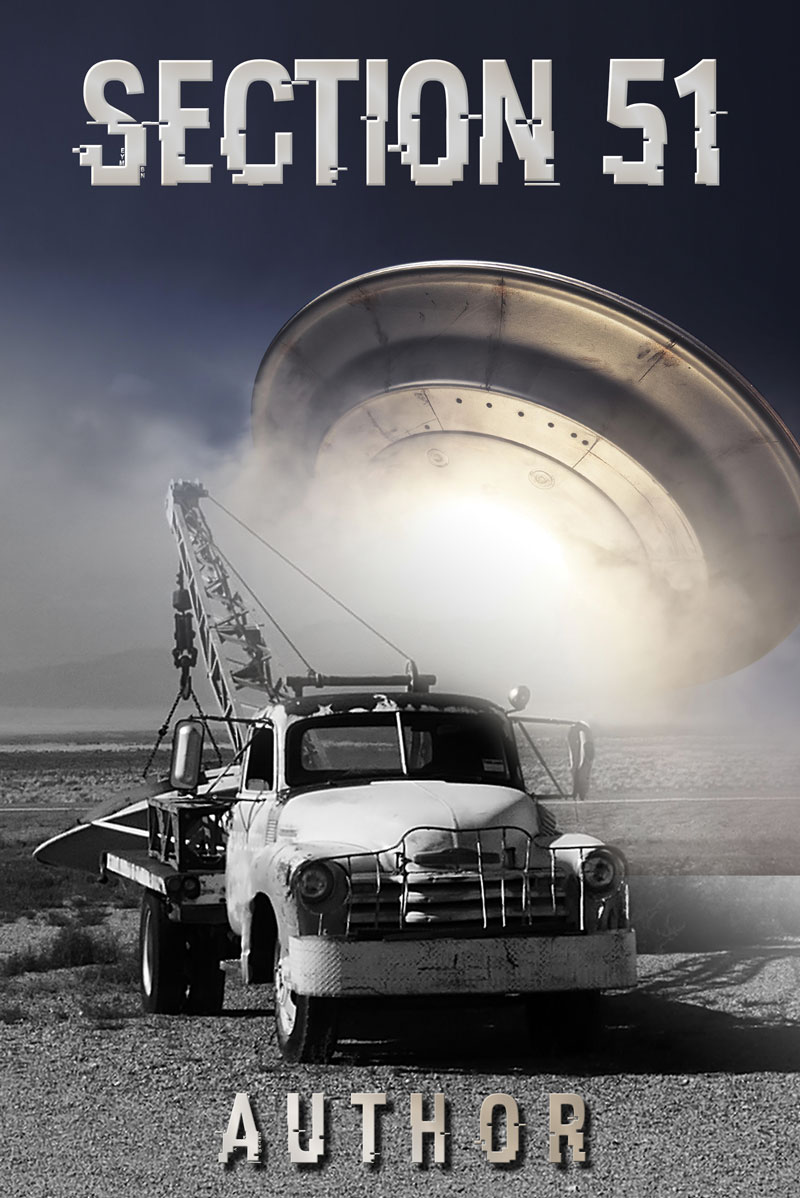 Section 51 Book Cover