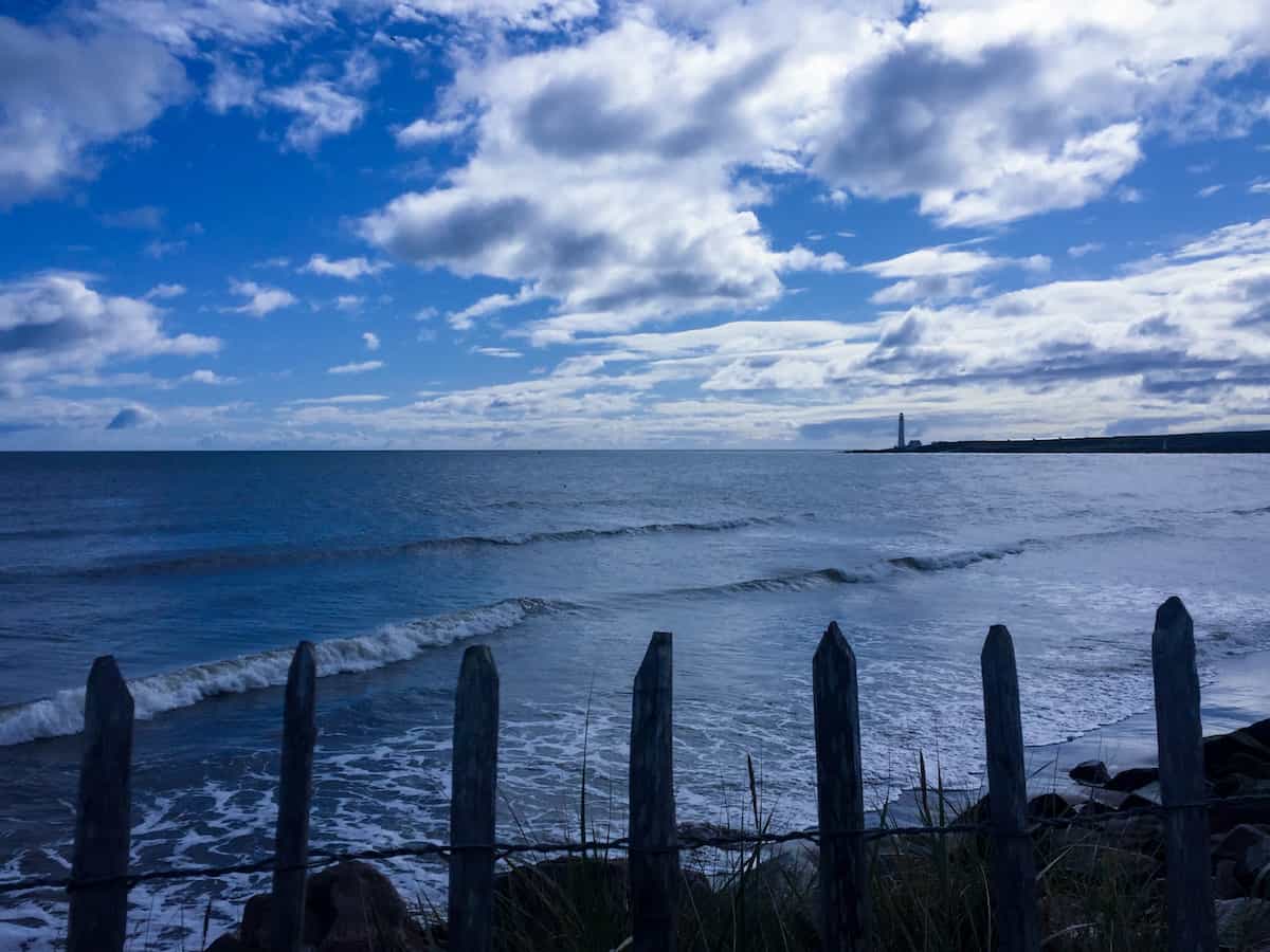 Montrose | Everything you need to know