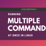 How To Run Multiple Linux Commands At Once In Terminal