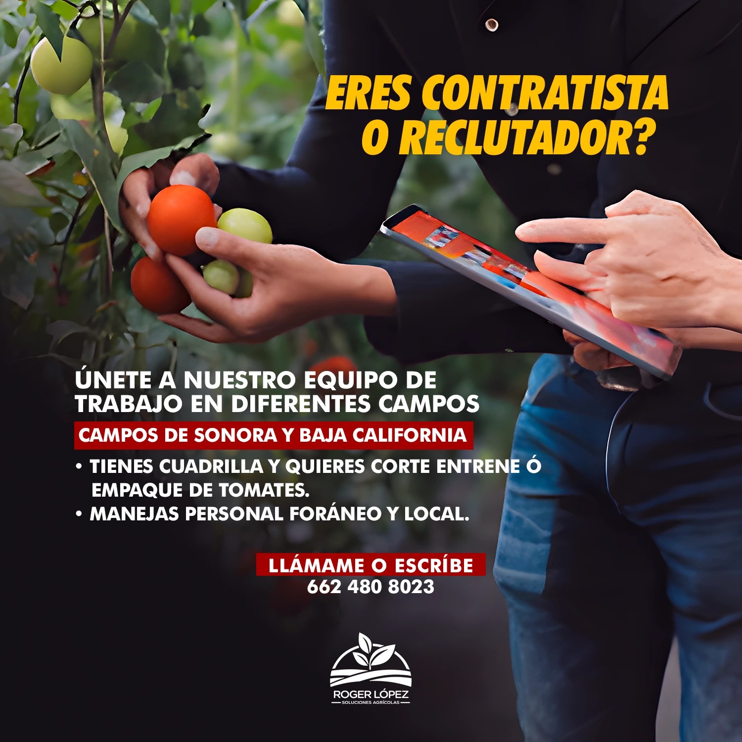 24 Dic