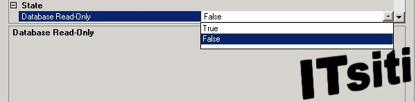 SQL Server Database Read Only