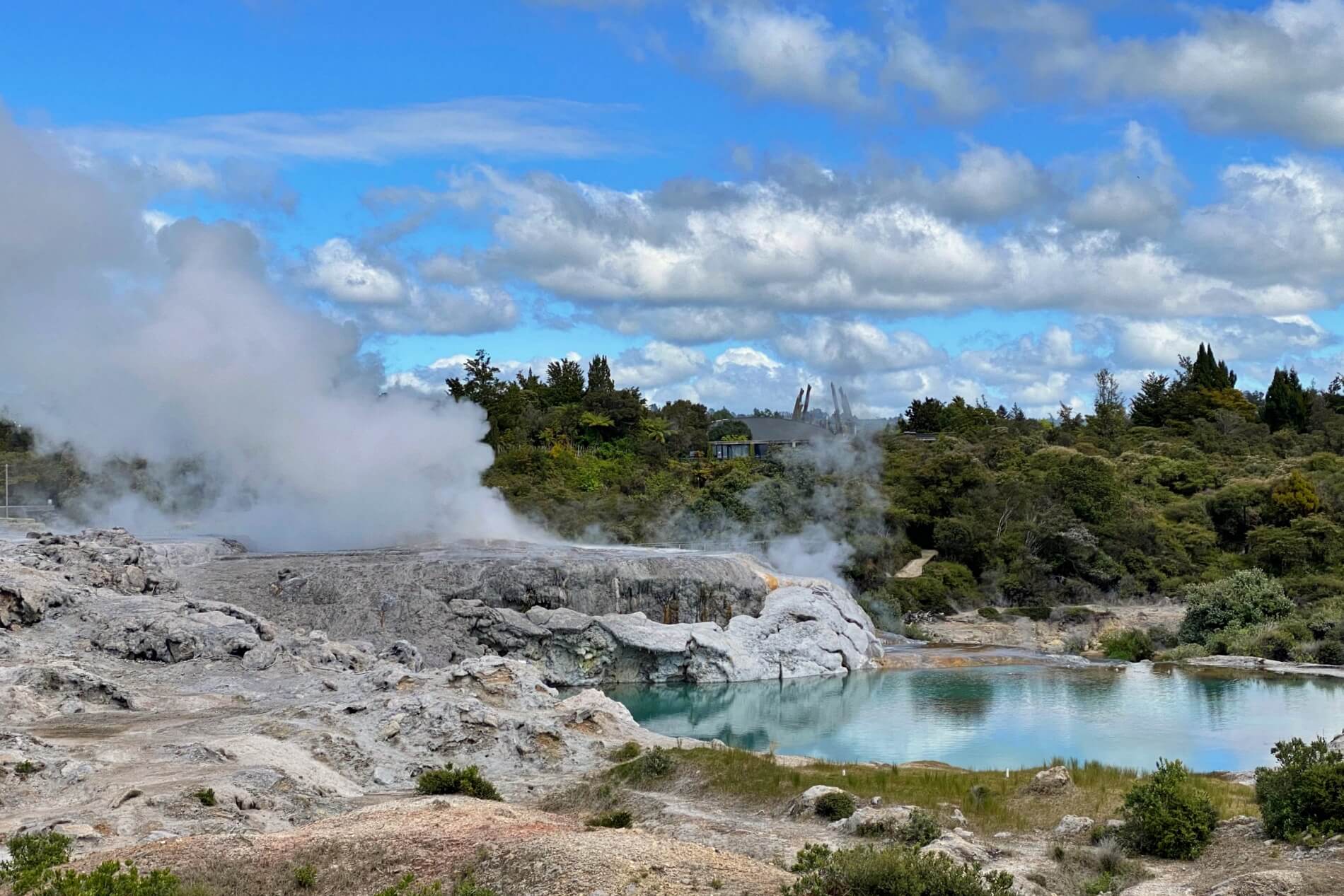 Pohutu Geyser, Rotorua