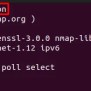 How To Use Nmap Command On Ubuntu 22.04 – Its Linux FOSS