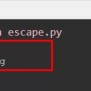 Escape Characters In Python | Explained With Examples – Its Linux FOSS