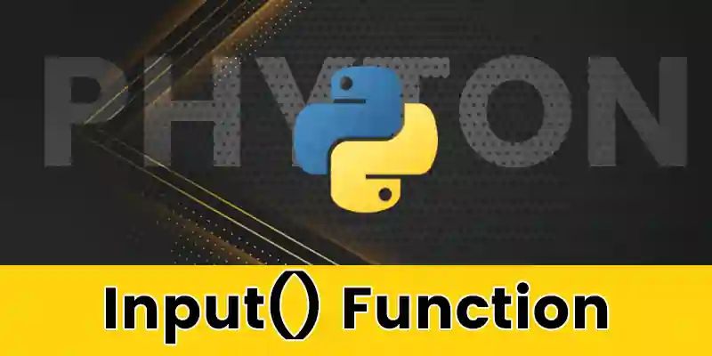 Input Builtin Function Python Examples - Premium Vintage Texture Gallery - Retina