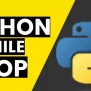Python While Loop | Explained – Its Linux FOSS