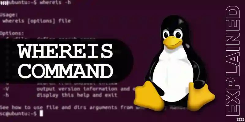 Day 12 Mastering Linux Commands Whereis Find And Top Explained Youtube - Dark Background Collection - Retina Quality