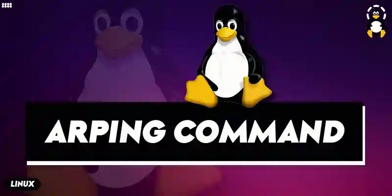 Arping Command On Linux Explained Devconnected - Nature Wallpapers - Perfect 4K Collection