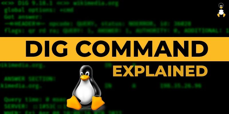 How To Install And Use The Dig Command In Linux - Gorgeous Minimal Pattern - High Resolution