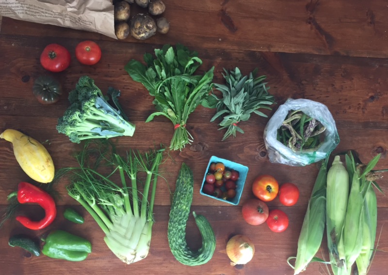Zero Waste CSA Week 9